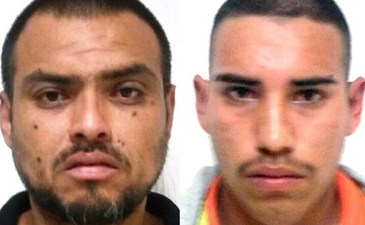 8fc70480438047675600f7d6733fded3