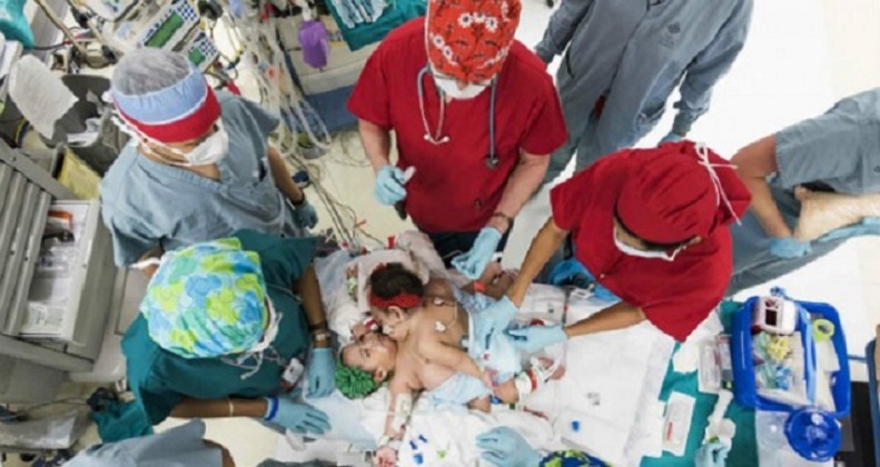 Siamesas-en-Texas-600x318