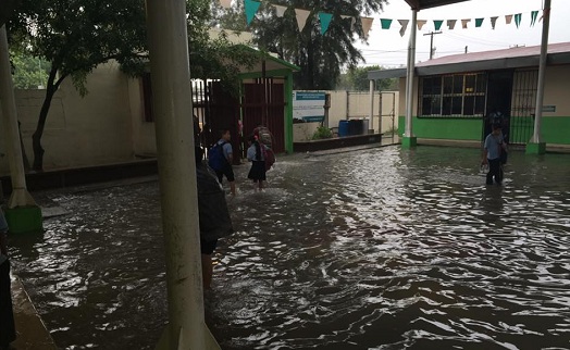 13315412_1380723018622129_7275130249421081108_n