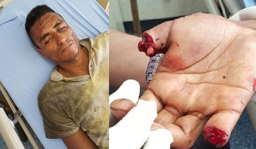 13521983_1726803774227126_4839877066184112454_n