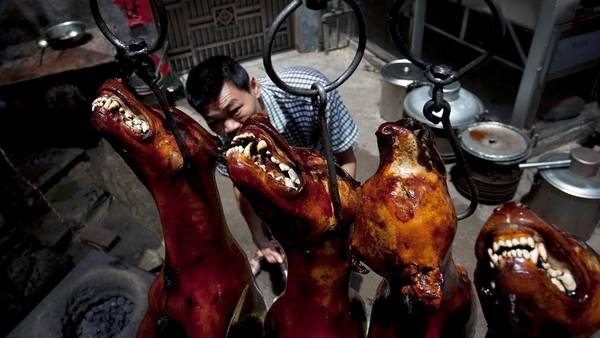 Matanza-perros-festival-Yulin-agencias_CLAIMA20150622_0056_28