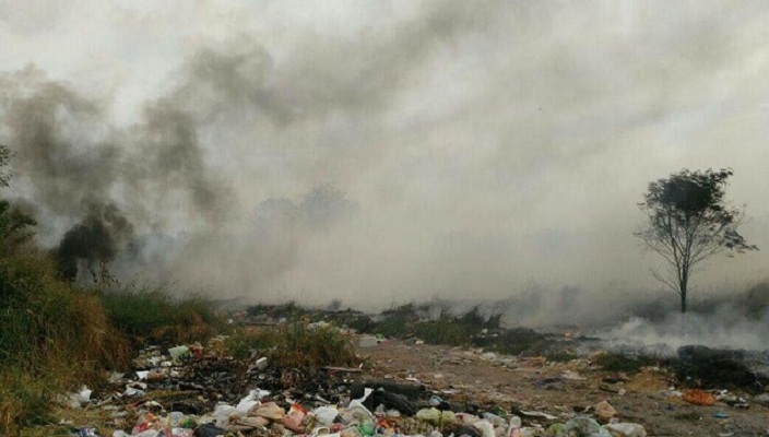 13664467_1734559906784846_1045046720_n