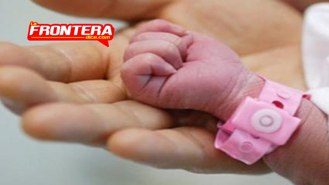 FORMATO NOTAS NUEVO_Mesa de trabajo 1 copia