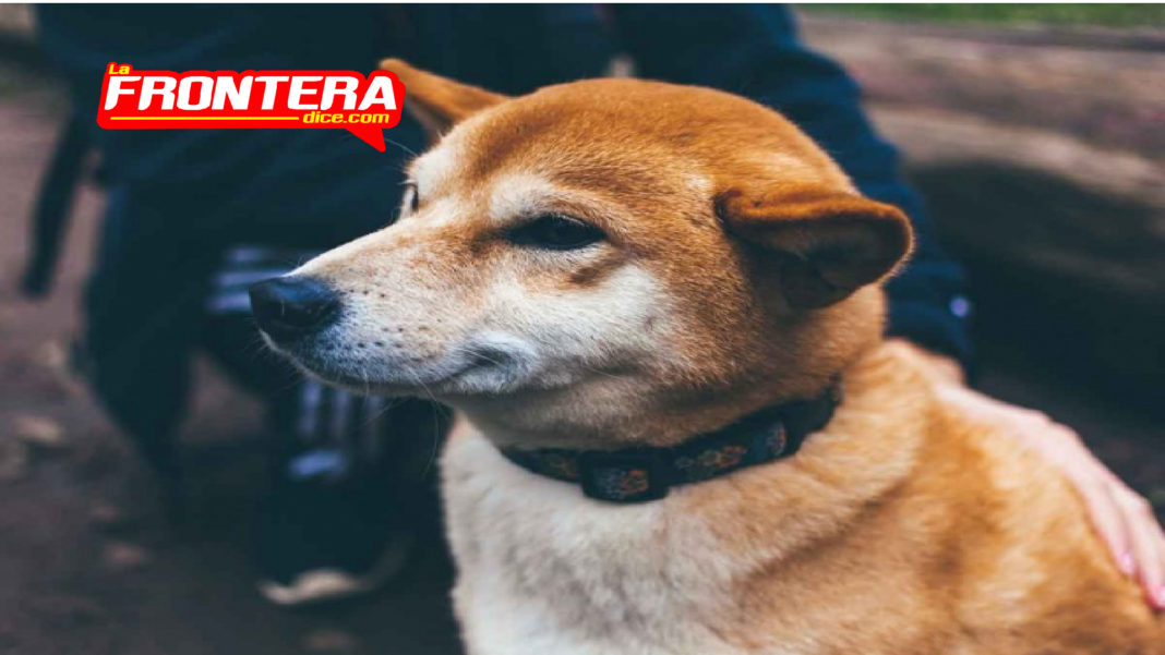 FORMATO NOTAS NUEVO_Mesa de trabajo 1 copia 3