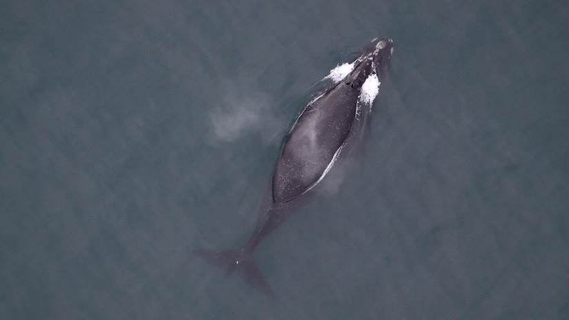 5d0b94d408f3d9a9368b462b