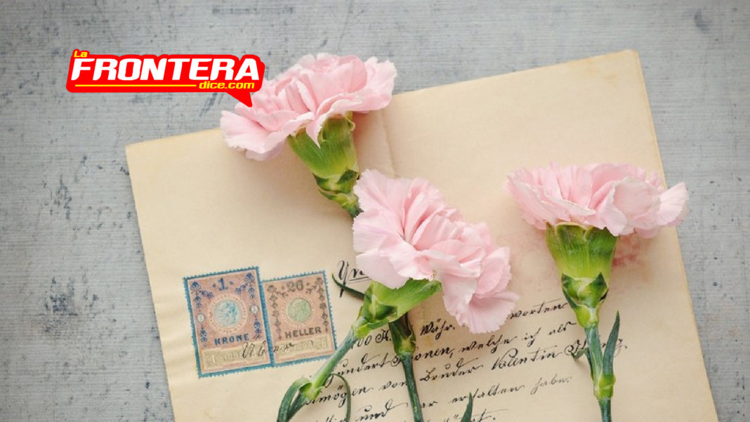 FORMATO NOTAS NUEVO_Mesa de trabajo 1