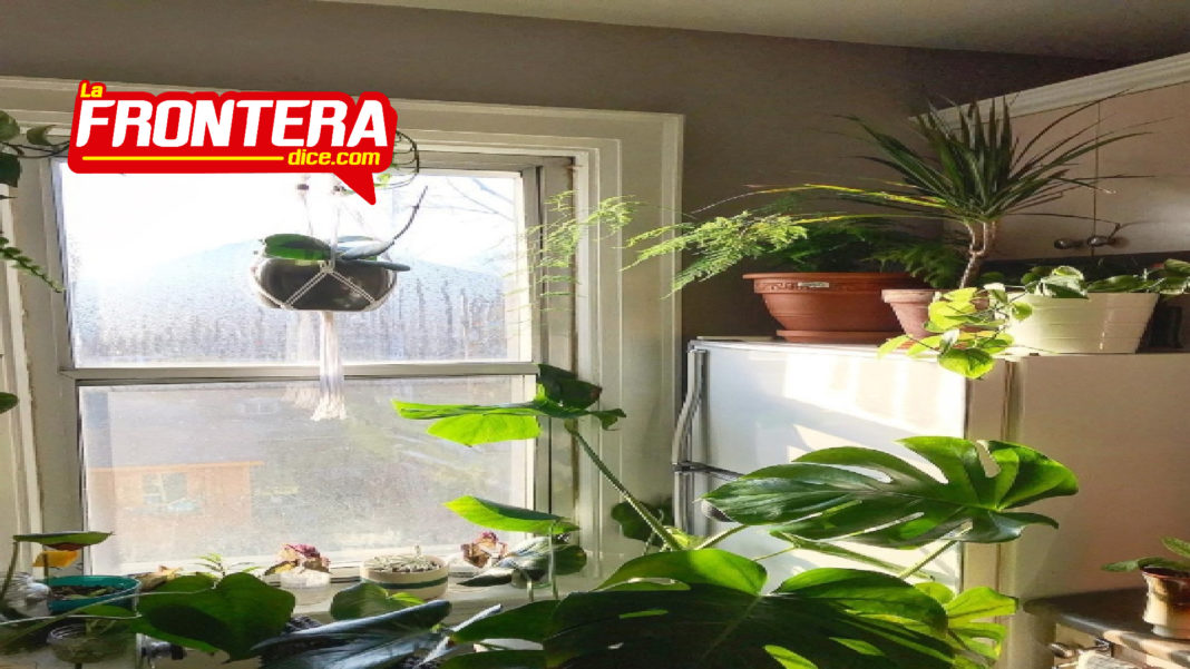 FORMATO NOTAS NUEVO_Mesa de trabajo 1