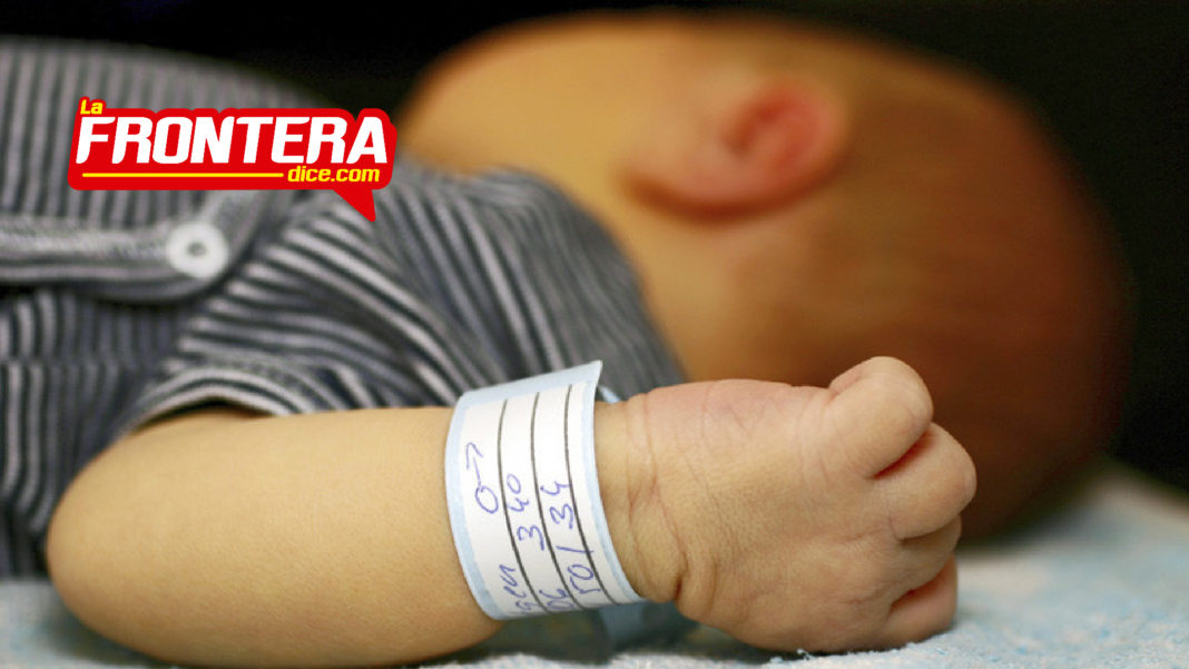 FORMATO NOTAS NUEVO_Mesa de trabajo 1 copia 2