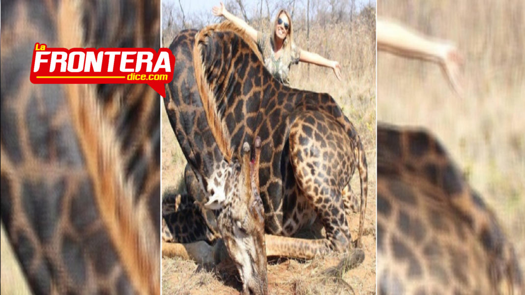 FORMATO NOTAS NUEVO_Mesa de trabajo 1 copia 2