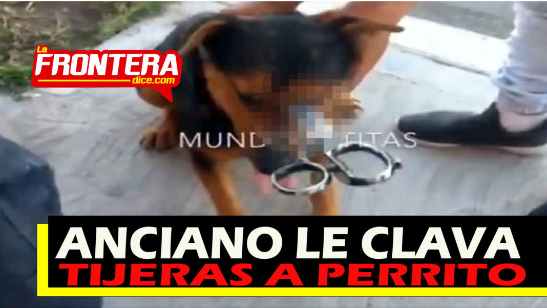 FORMATO NOTAS NUEVO_Mesa de trabajo 1 copia 2