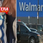 Graduada corta pastel y descubre que es falso