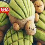 Llegaron las adorables ‘tortuconchas’