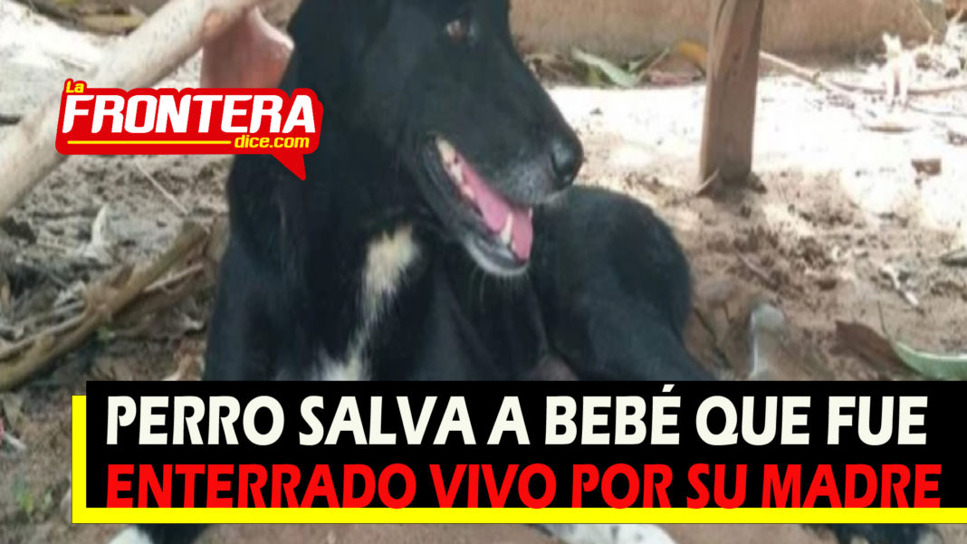 FORMATO NOTAS NUEVO_Mesa de trabajo 1 copia 3