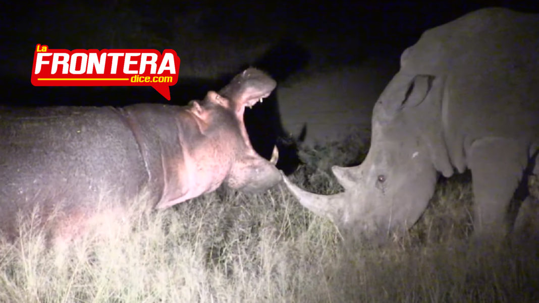 FORMATO NOTAS NUEVO_Mesa de trabajo 1 copia 3