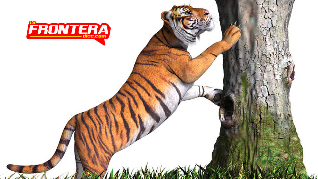 FORMATO NOTAS NUEVO_Mesa de trabajo 1 copia