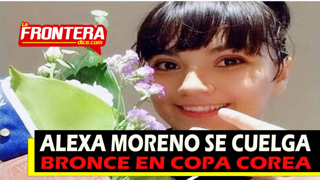 FORMATO NOTAS NUEVO_Mesa de trabajo 1 copia