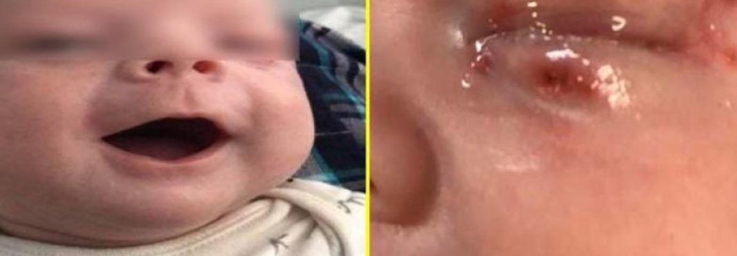 preview_3449b0dd7971eefbef08e5a578423fad19036261