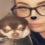 Gaviota ‘secuestra’ a perro chihuahua frente a su dueña