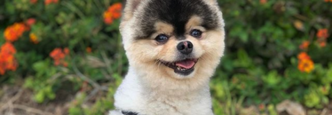 Captura de pantalla 2019-07-09 a la(s) 20.15.04