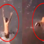 Aprovecha la inundación para darse un baño