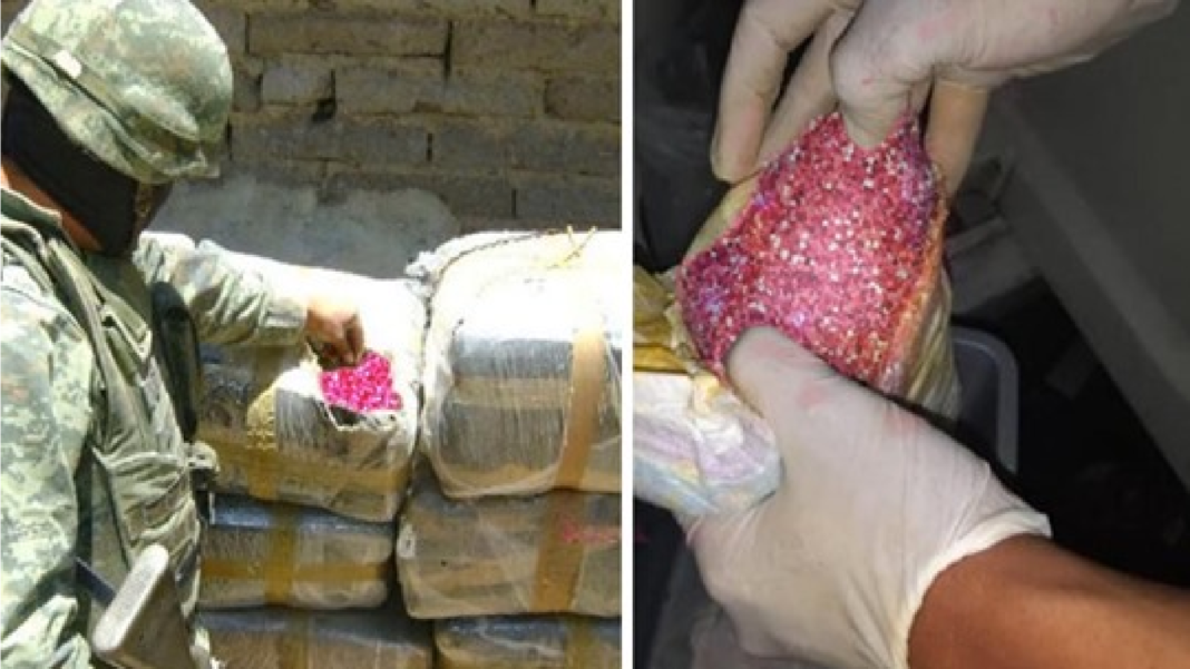 FORMATO NOTAS NUEVO (1)_Mesa de trabajo 1 copia 3