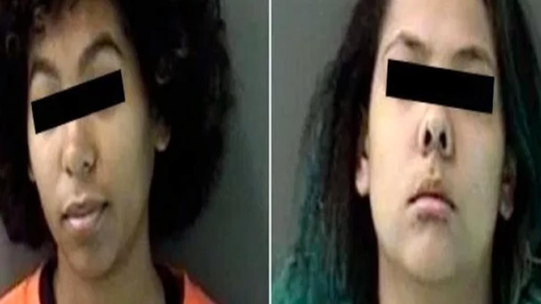 FORMATO NOTAS NUEVO (1)_Mesa de trabajo 1 copia