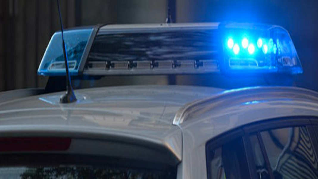 FORMATO NOTAS NUEVO (1)_Mesa de trabajo 1 copia