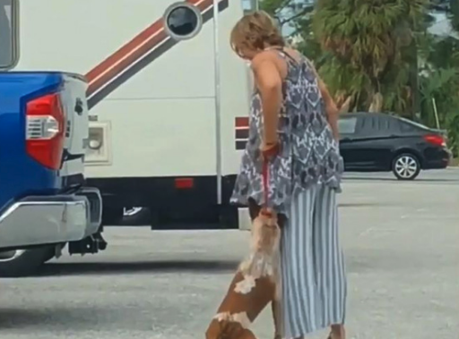 Captura de pantalla 2019-09-24 a la(s) 20.28.09