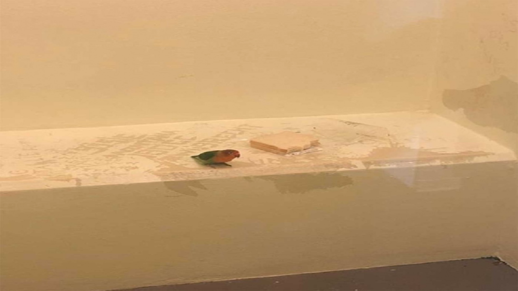 FORMATO NOTAS NUEVO (1)_Mesa de trabajo 1 copia 2