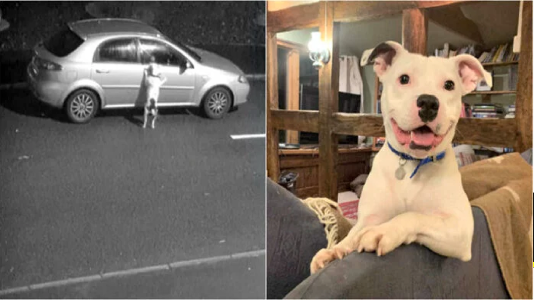 FORMATO NOTAS NUEVO (1)_Mesa de trabajo 1 copia 3