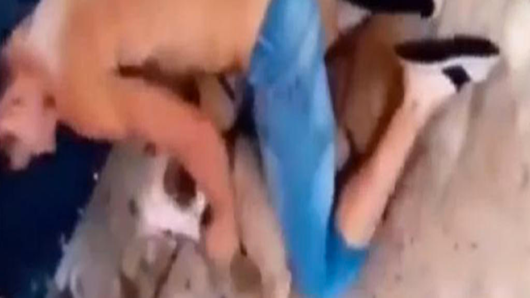 FORMATO NOTAS NUEVO (1)_Mesa de trabajo 1 copia 3