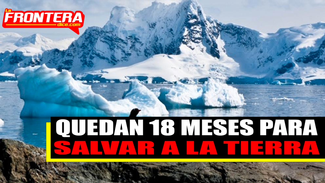 FORMATO NOTAS NUEVO (1)_Mesa de trabajo 1 copia