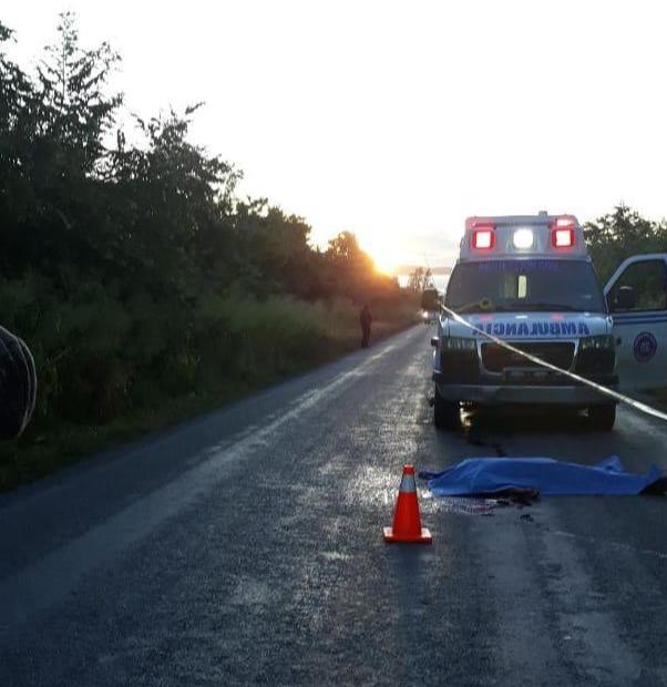 d8558eea-e405-4ff6-b636-bfced1852864_0