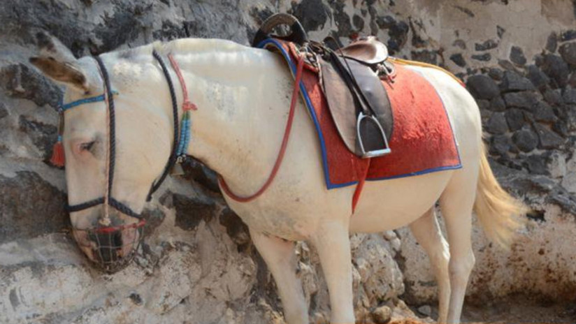 5dcd96c659bf5b23b03e1b45