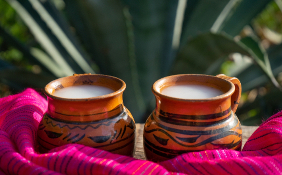 pulque-la-bebida-de-los_0_22_500_311
