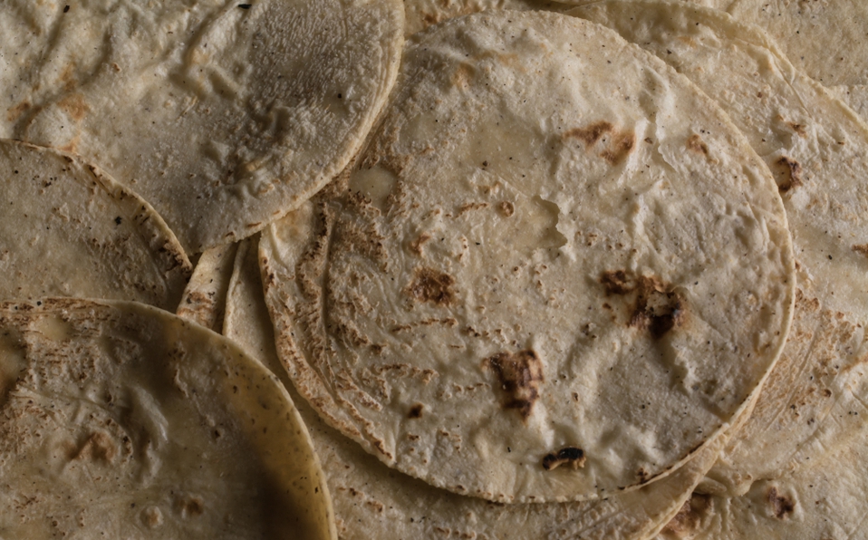 tortillas-fortificadas-proteina-calcio-fibra