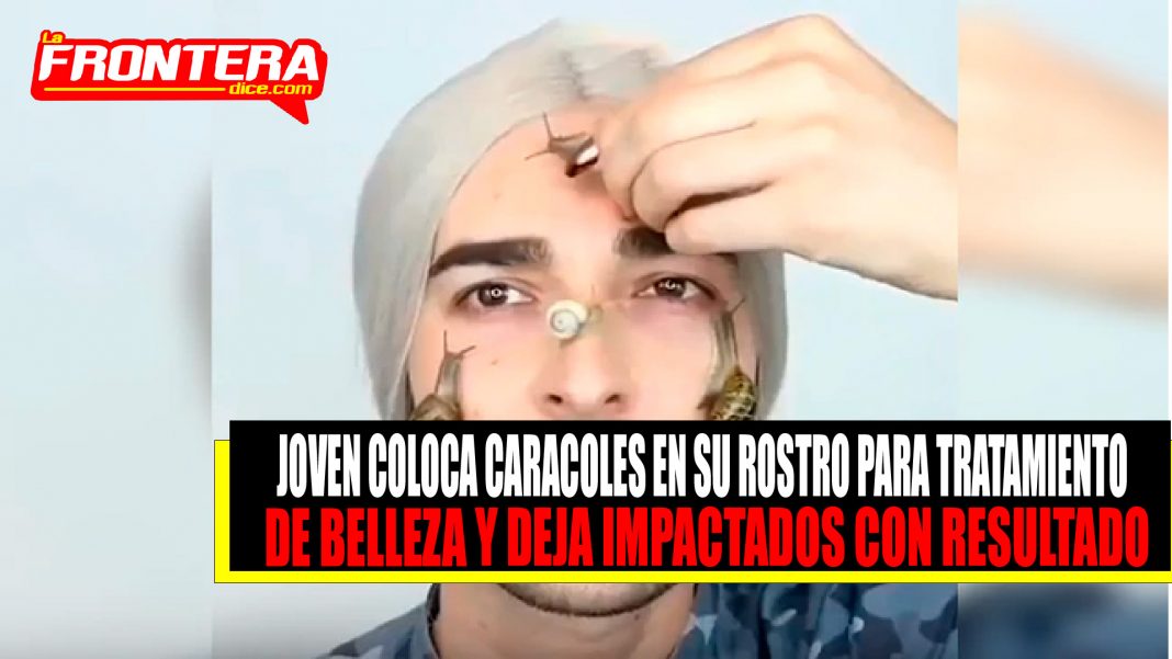 FORMATO NOTAS NUEVO (1)_Mesa de trabajo 1