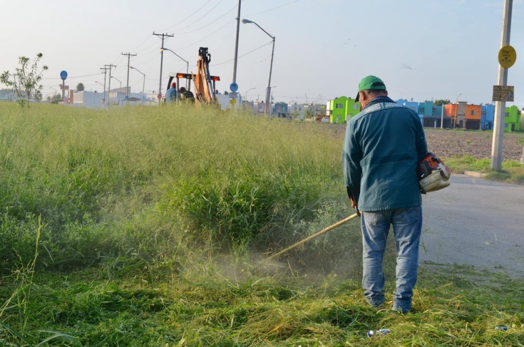 c6ea59da-d5c6-424b-9a55-e5a8b22b169d