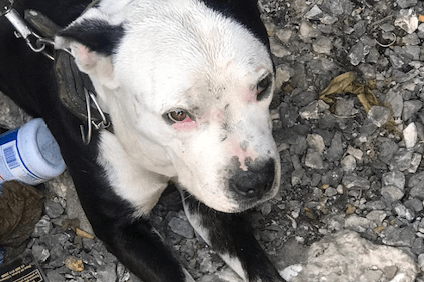 Captura-de-pantalla-2020-05-27-a-las-13.45.03