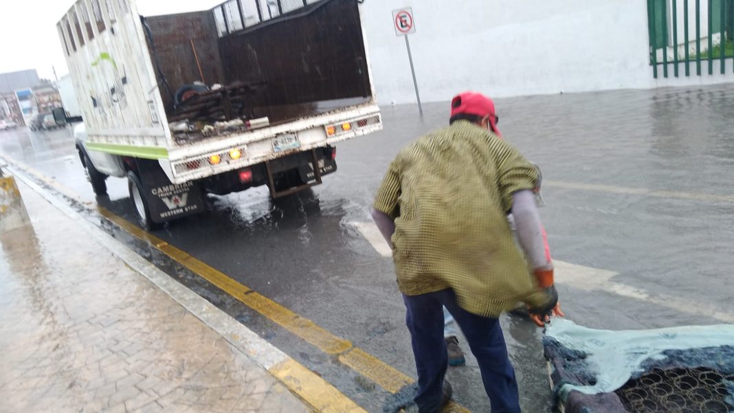 d0790dbe-1ddc-4774-af65-064879b46e55