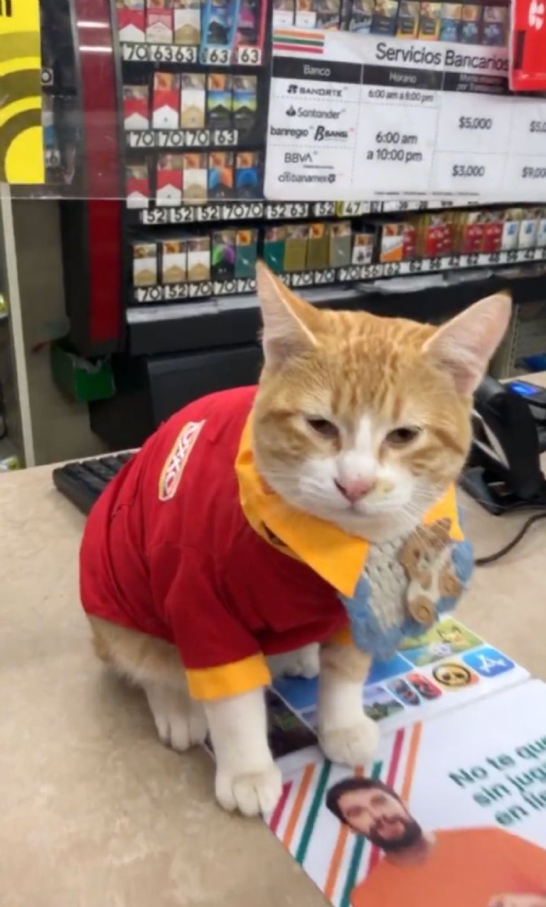 f768x1-571433_571560_5050