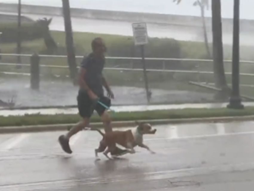 f850x638-586554_664043_5050