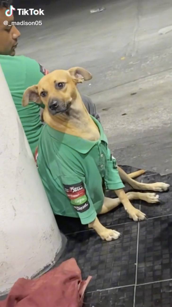 Captura-de-Pantalla-2022-10-17-a-las-17.03.44-1