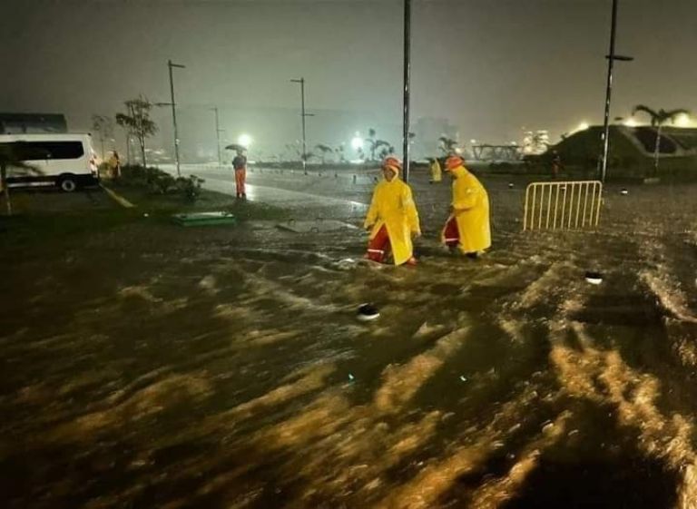 f768x1-600455_600582_5050