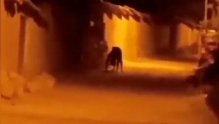 f768x1-602601_602728_5050