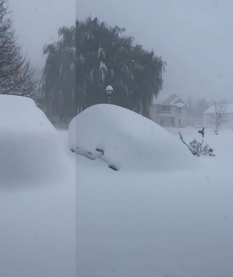 f768x1-619280_619407_115