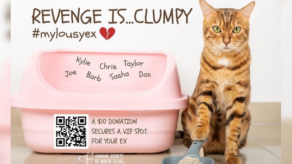 f960x540-672359_746434_0