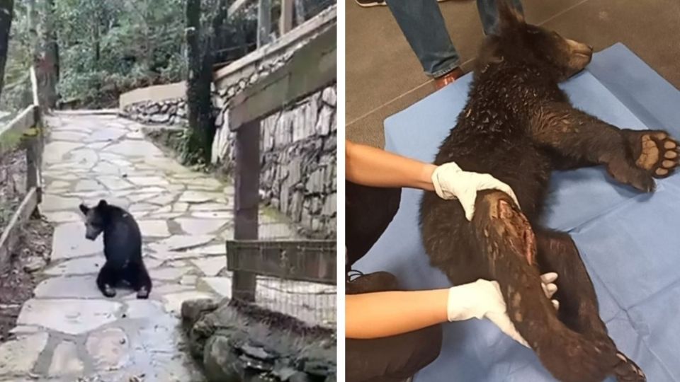 f960x540-677985_752060_0