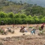 Niño visita todos los días la tumba de su mamá “La extraño mucho”