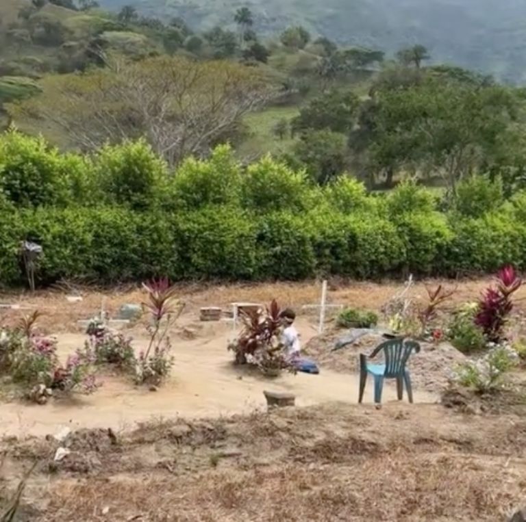 f768x1-712333_712460_5050